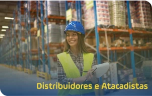 Mulher gerenciando o estoque da distribuidora Mulher gerenciando o estoque da distribuidora
